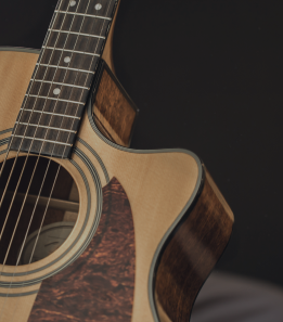 Acoustic guitar